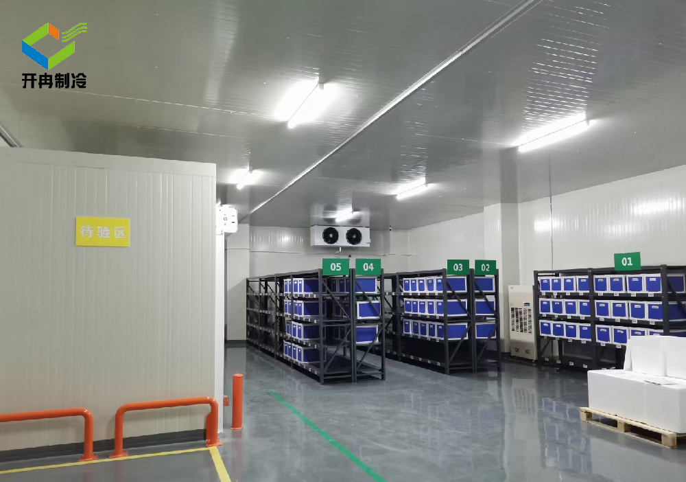 廠家安裝2~8度醫(yī)藥冷庫要求標準,新版GSP疫苗冷凍庫 廠家安裝2~8度醫(yī)藥冷庫要求標準,新版GSP疫苗冷凍庫