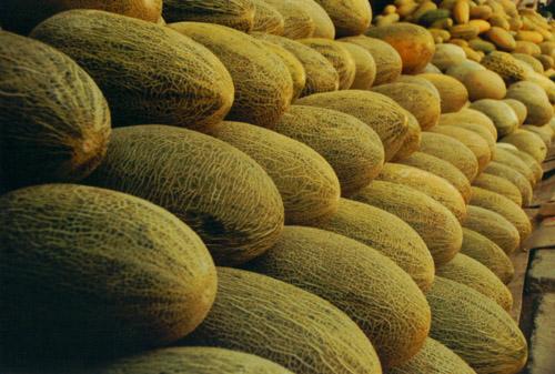 建一座哈密瓜保鮮庫需要多少投資？冷庫設備費用