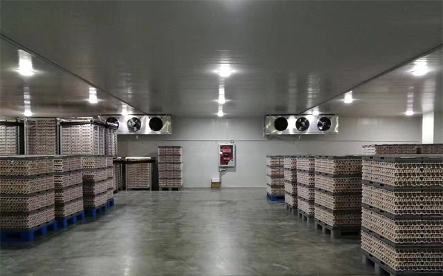 20000立方米生鮮物流冷庫建造工程價格，冷庫方案