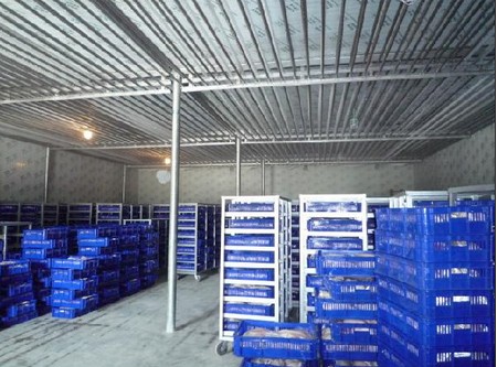 -18~-23℃冷凍庫哪種制冷方式好？（冷風機，鋁排）