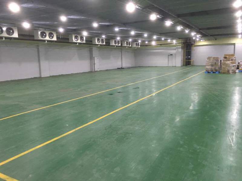 800平蘋果冷庫設計，水果冷藏庫安裝