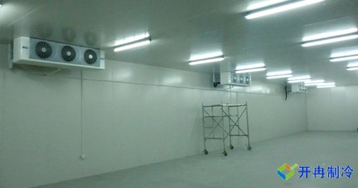 大型果蔬農(nóng)產(chǎn)品物流冷庫，冷藏庫建造及運營成本預算